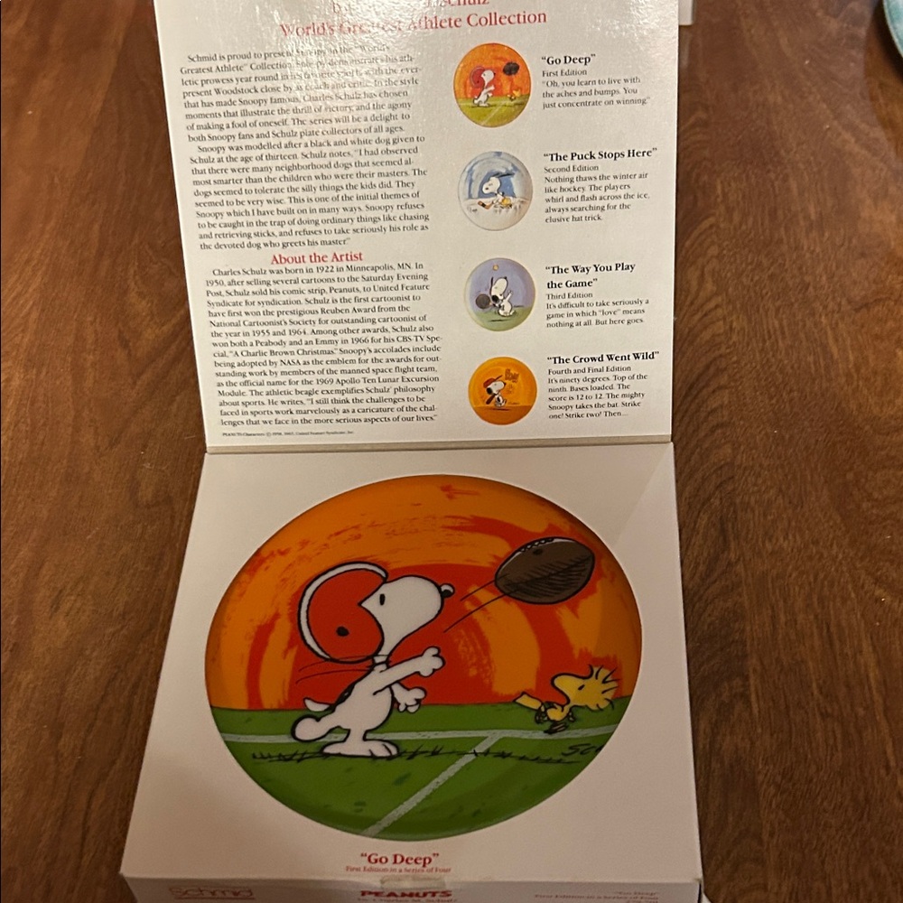 Peanuts Art Plate Snoopy Football -